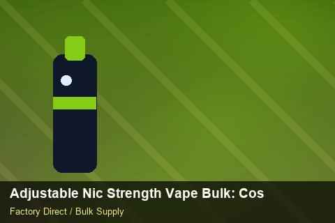 Adjustable Nic Strength Vape Bulk — Adjustable Nic Strength Vape Bulk: Cost Breakdown — Winter Range photo 2