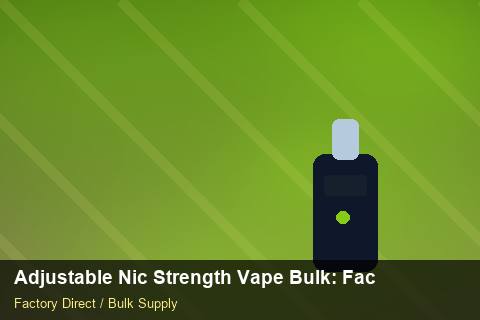 Adjustable Nic Strength Vape Bulk — Adjustable Nic Strength Vape Bulk: Factory Audit Report — Winter Range photo 1