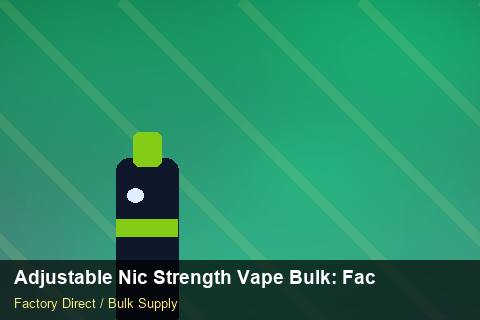 Adjustable Nic Strength Vape Bulk — Adjustable Nic Strength Vape Bulk: Factory Audit Report — Winter Range photo 2