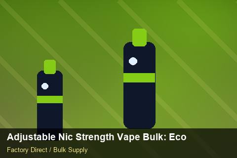 Adjustable Nic Strength Vape Bulk — Adjustable Nic Strength Vape Bulk: Eco-Friendly Materials — Winter Range photo 2