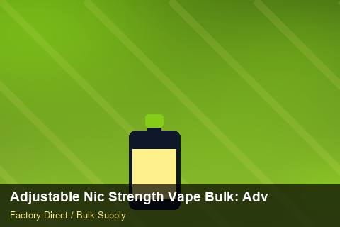 Adjustable Nic Strength Vape Bulk — Adjustable Nic Strength Vape Bulk: Advanced Sourcing — Winter Range photo 2