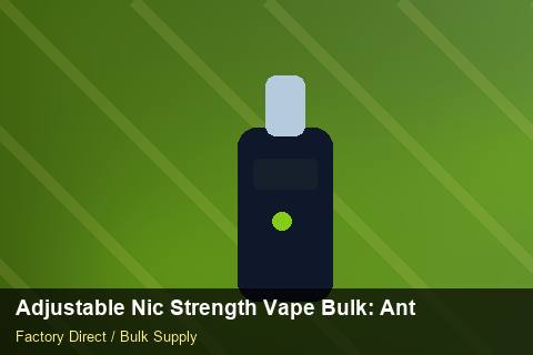 Adjustable Nic Strength Vape Bulk — Adjustable Nic Strength Vape Bulk: Anti-Counterfeit Measures — Winter Range photo 1