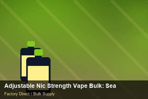 Adjustable Nic Strength Vape Bulk — Adjustable Nic Strength Vape Bulk: Seasonal Planning — Winter Range photo 1