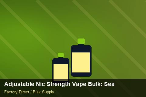 Adjustable Nic Strength Vape Bulk — Adjustable Nic Strength Vape Bulk: Seasonal Planning — Limited Editions photo 1