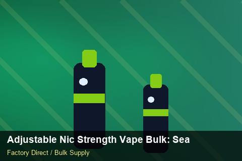 Adjustable Nic Strength Vape Bulk — Adjustable Nic Strength Vape Bulk: Seasonal Planning — Limited Editions photo 2