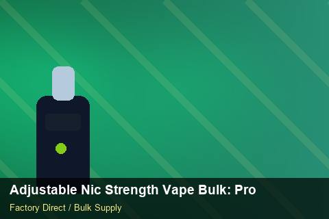 Adjustable Nic Strength Vape Bulk — Adjustable Nic Strength Vape Bulk: Product Launch Playbook — Retail Merchandising photo 1