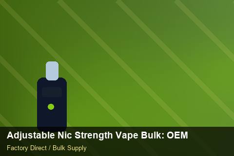 Adjustable Nic Strength Vape Bulk — Adjustable Nic Strength Vape Bulk: OEM & ODM Service — Shelf Placement photo 1