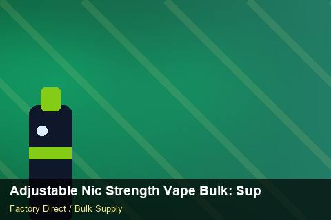 Adjustable Nic Strength Vape Bulk — Adjustable Nic Strength Vape Bulk: Supplier Vetting — Shelf Placement photo 1