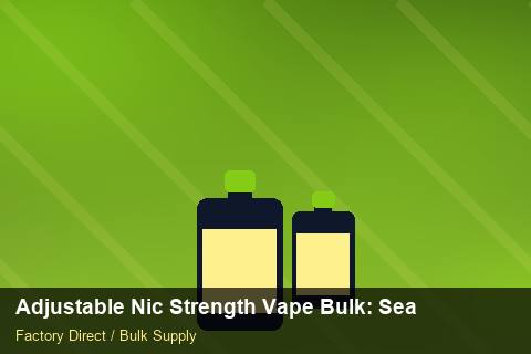 Adjustable Nic Strength Vape Bulk — Adjustable Nic Strength Vape Bulk: Seasonal Planning — Shelf Placement photo 1
