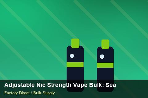 Adjustable Nic Strength Vape Bulk — Adjustable Nic Strength Vape Bulk: Seasonal Planning — Shelf Placement photo 2