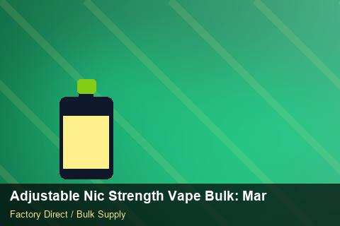 Adjustable Nic Strength Vape Bulk — Adjustable Nic Strength Vape Bulk: Market Trends 2026 — Promotional Pricing photo 1