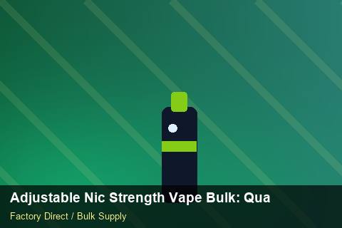 Adjustable Nic Strength Vape Bulk — Adjustable Nic Strength Vape Bulk: Quality Inspection Checklist — Loyalty Programmes photo 2