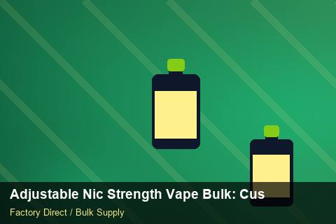 Adjustable Nic Strength Vape Bulk — Adjustable Nic Strength Vape Bulk: Customs Documentation — Loyalty Programmes photo 2