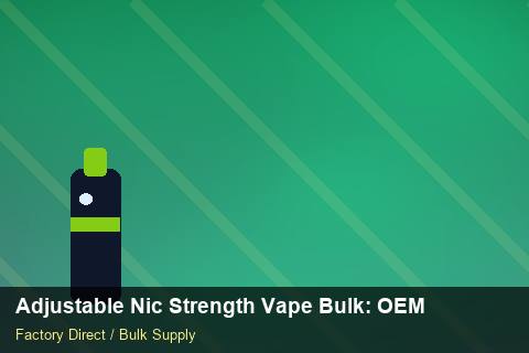 Adjustable Nic Strength Vape Bulk — Adjustable Nic Strength Vape Bulk: OEM & ODM Service — Loyalty Programmes photo 2