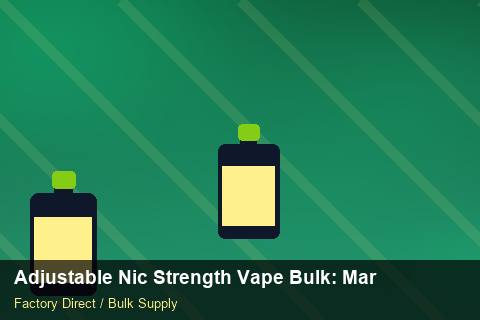 Adjustable Nic Strength Vape Bulk — Adjustable Nic Strength Vape Bulk: Market Trends 2026 — Loyalty Programmes photo 1