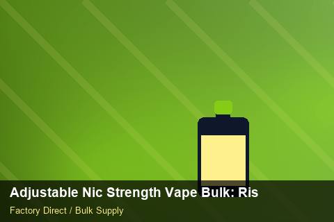 Adjustable Nic Strength Vape Bulk — Adjustable Nic Strength Vape Bulk: Risk Management — Loyalty Programmes photo 2