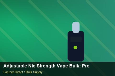 Adjustable Nic Strength Vape Bulk — Adjustable Nic Strength Vape Bulk: Procurement Checklist — Loyalty Programmes photo 2