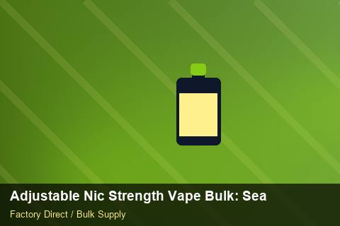 Adjustable Nic Strength Vape Bulk — Adjustable Nic Strength Vape Bulk: Seasonal Planning — Loyalty Programmes photo 1