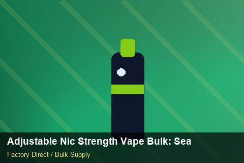 Adjustable Nic Strength Vape Bulk — Adjustable Nic Strength Vape Bulk: Seasonal Planning — Loyalty Programmes photo 2