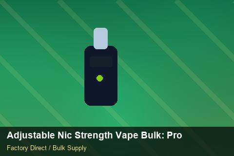 Adjustable Nic Strength Vape Bulk — Adjustable Nic Strength Vape Bulk: Product Launch Playbook — Loyalty Programmes photo 1