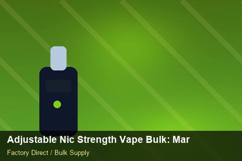 Adjustable Nic Strength Vape Bulk — Adjustable Nic Strength Vape Bulk: Market Trends 2026 — Distributor Margins photo 2