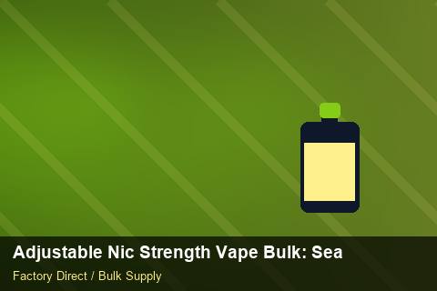 Adjustable Nic Strength Vape Bulk — Adjustable Nic Strength Vape Bulk: Seasonal Planning — Wholesale Markups photo 1