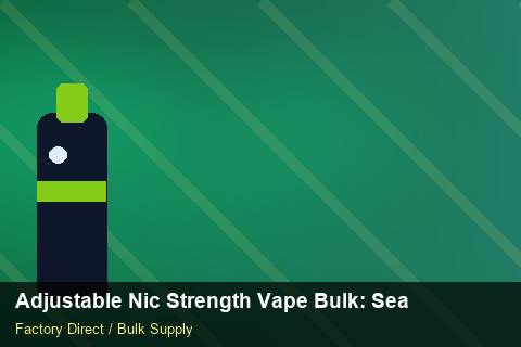 Adjustable Nic Strength Vape Bulk — Adjustable Nic Strength Vape Bulk: Seasonal Planning — Wholesale Markups photo 2
