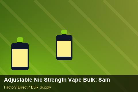 Adjustable Nic Strength Vape Bulk — Adjustable Nic Strength Vape Bulk: Sample Policy — Cash Flow Planning photo 2
