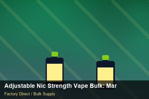 Adjustable Nic Strength Vape Bulk — Adjustable Nic Strength Vape Bulk: Market Trends 2026 — Cash Flow Planning photo 1