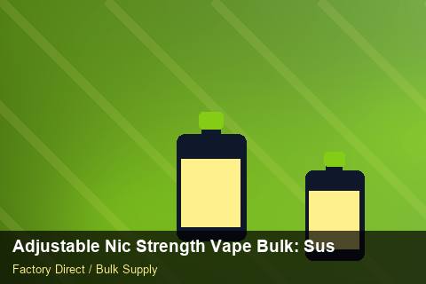 Adjustable Nic Strength Vape Bulk — Adjustable Nic Strength Vape Bulk: Sustainability — Cash Flow Planning photo 1