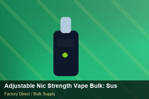 Adjustable Nic Strength Vape Bulk — Adjustable Nic Strength Vape Bulk: Sustainability — Cash Flow Planning photo 2