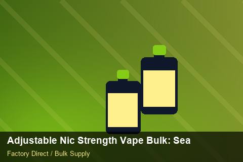 Adjustable Nic Strength Vape Bulk — Adjustable Nic Strength Vape Bulk: Seasonal Planning — Cash Flow Planning photo 1