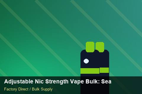 Adjustable Nic Strength Vape Bulk — Adjustable Nic Strength Vape Bulk: Seasonal Planning — Cash Flow Planning photo 2
