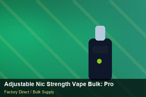 Adjustable Nic Strength Vape Bulk — Adjustable Nic Strength Vape Bulk: Product Launch Playbook — Cash Flow Planning photo 1