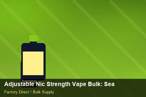 Adjustable Nic Strength Vape Bulk — Adjustable Nic Strength Vape Bulk: Seasonal Planning — Inventory Turns photo 1