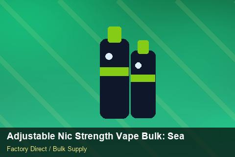 Adjustable Nic Strength Vape Bulk — Adjustable Nic Strength Vape Bulk: Seasonal Planning — Inventory Turns photo 2