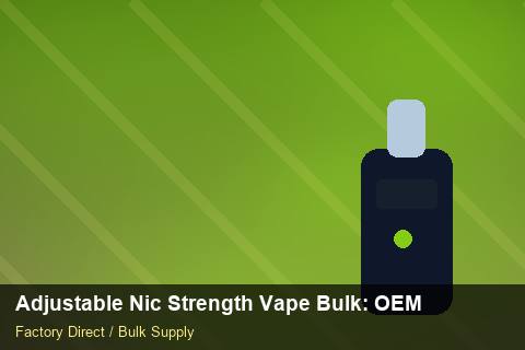 Adjustable Nic Strength Vape Bulk — Adjustable Nic Strength Vape Bulk: OEM & ODM Service — Safety Stock photo 1