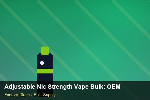 Adjustable Nic Strength Vape Bulk — Adjustable Nic Strength Vape Bulk: OEM & ODM Service — Safety Stock photo 2