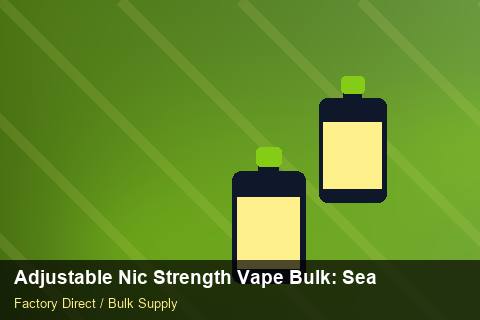 Adjustable Nic Strength Vape Bulk — Adjustable Nic Strength Vape Bulk: Seasonal Planning — Safety Stock photo 1