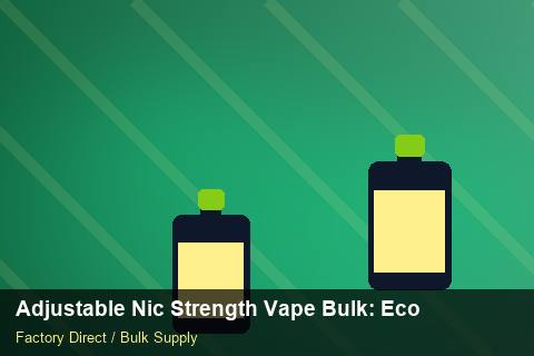Adjustable Nic Strength Vape Bulk — Adjustable Nic Strength Vape Bulk: Eco-Friendly Materials — SKU Rationalisation photo 1
