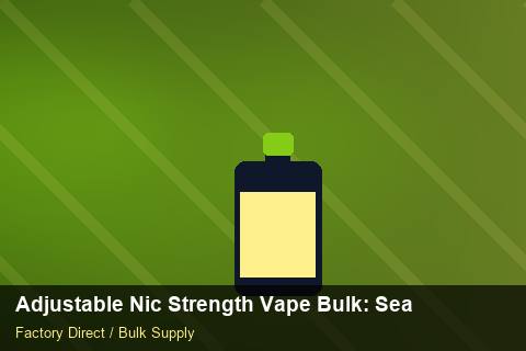 Adjustable Nic Strength Vape Bulk — Adjustable Nic Strength Vape Bulk: Seasonal Planning — SKU Rationalisation photo 1