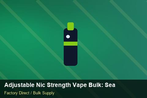 Adjustable Nic Strength Vape Bulk — Adjustable Nic Strength Vape Bulk: Seasonal Planning — SKU Rationalisation photo 2