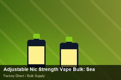 Adjustable Nic Strength Vape Bulk — Adjustable Nic Strength Vape Bulk: Seasonal Planning — Category Mix photo 1
