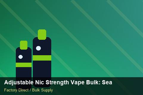 Adjustable Nic Strength Vape Bulk — Adjustable Nic Strength Vape Bulk: Seasonal Planning — Category Mix photo 2