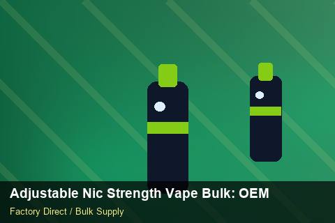 Adjustable Nic Strength Vape Bulk — Adjustable Nic Strength Vape Bulk: OEM & ODM Service — Private-Label Launch photo 2