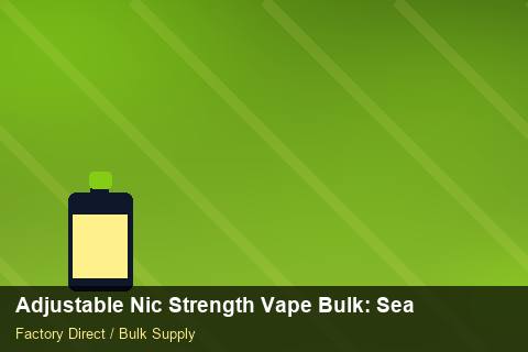 Adjustable Nic Strength Vape Bulk — Adjustable Nic Strength Vape Bulk: Seasonal Planning — Private-Label Launch photo 1