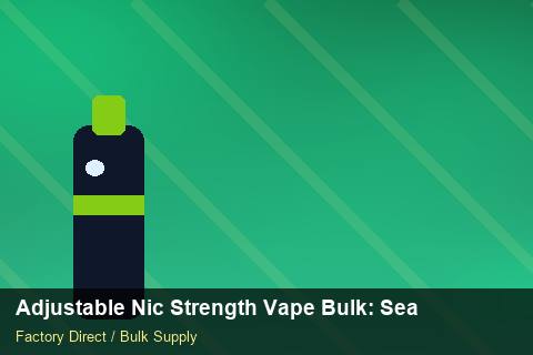 Adjustable Nic Strength Vape Bulk — Adjustable Nic Strength Vape Bulk: Seasonal Planning — Private-Label Launch photo 2
