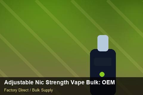Adjustable Nic Strength Vape Bulk — Adjustable Nic Strength Vape Bulk: OEM & ODM Service — Brand Positioning photo 1