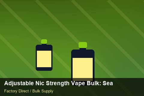 Adjustable Nic Strength Vape Bulk — Adjustable Nic Strength Vape Bulk: Seasonal Planning — Brand Positioning photo 1