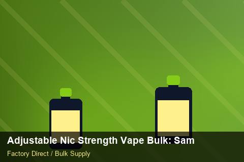 Adjustable Nic Strength Vape Bulk — Adjustable Nic Strength Vape Bulk: Sample Policy — Logo Placement photo 2